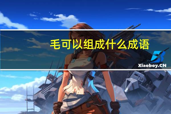 毛可以组成什么成语