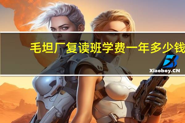 毛坦厂复读班学费一年多少钱