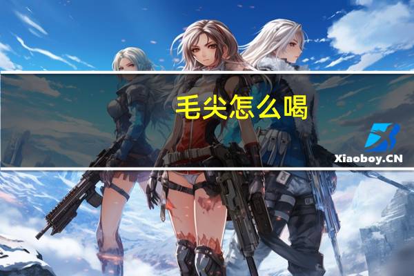 毛尖怎么喝
