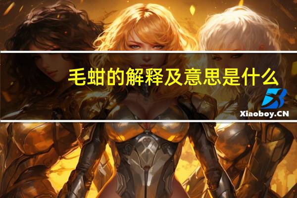 毛蚶的解释及意思是什么