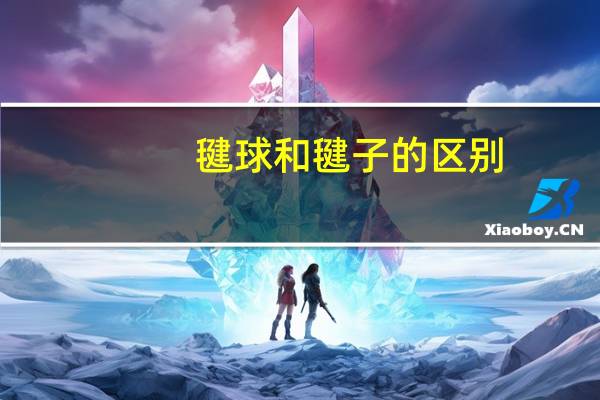 毽球和毽子的区别