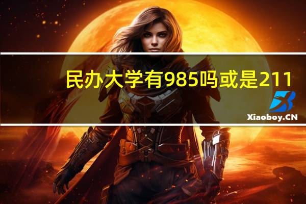 民办大学有985吗或是211