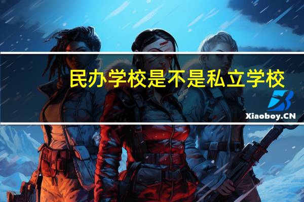 民办学校是不是私立学校