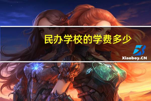 民办学校的学费多少