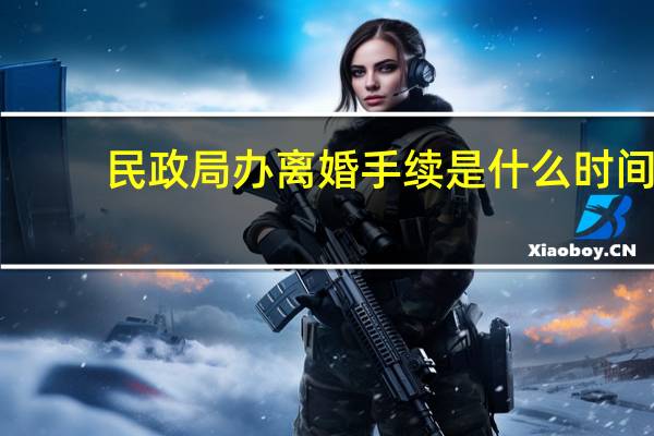 民政局办离婚手续是什么时间