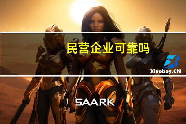 民营企业可靠吗