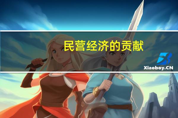 民营经济的贡献