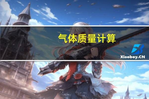 气体质量计算