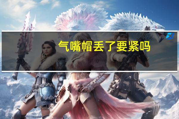 气嘴帽丢了要紧吗