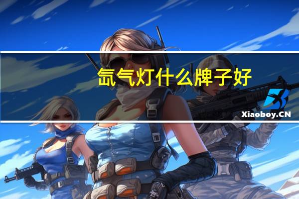 氙气灯什么牌子好