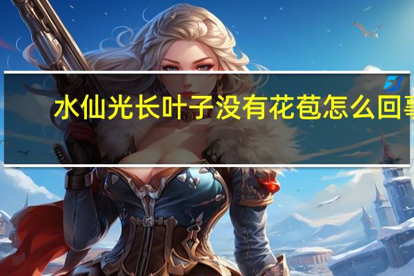 水仙光长叶子没有花苞怎么回事