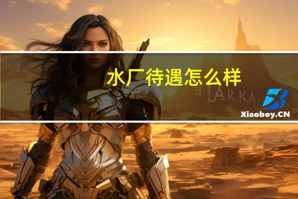 水厂待遇怎么样
