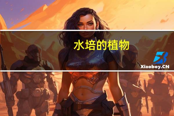 水培的植物