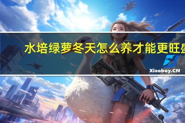 水培绿萝冬天怎么养才能更旺盛