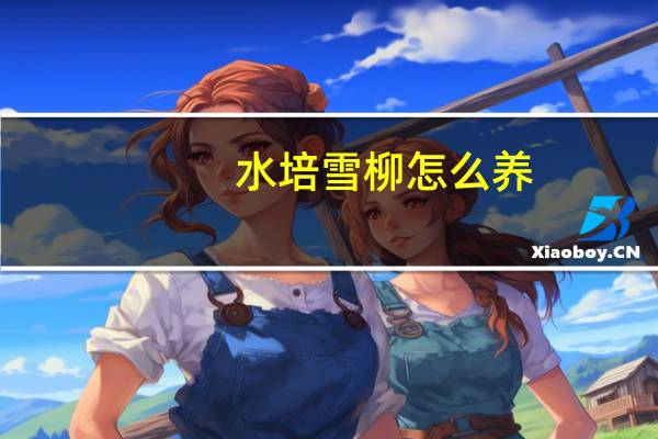 水培雪柳怎么养