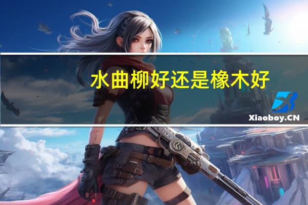 水曲柳好还是橡木好