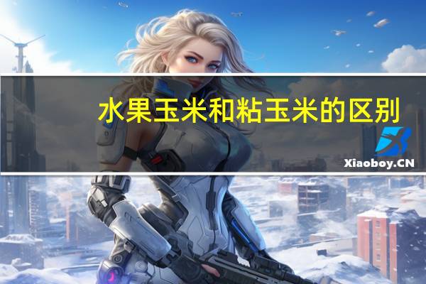 水果玉米和粘玉米的区别