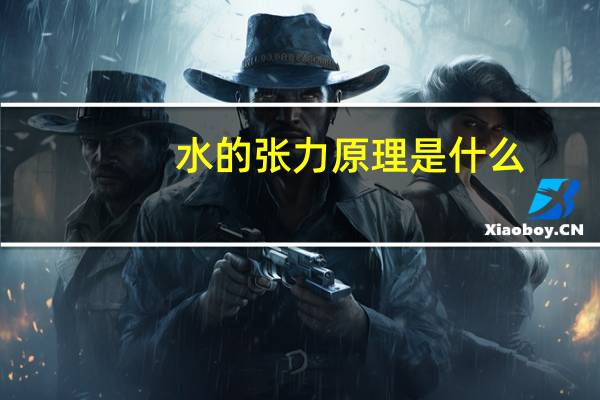 水的张力原理是什么