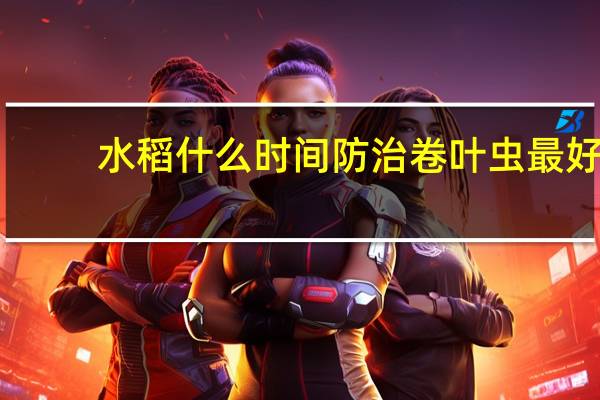 水稻什么时间防治卷叶虫最好