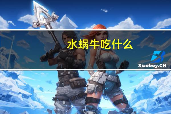 水蜗牛吃什么