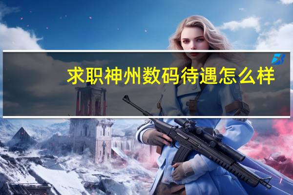 求职神州数码待遇怎么样