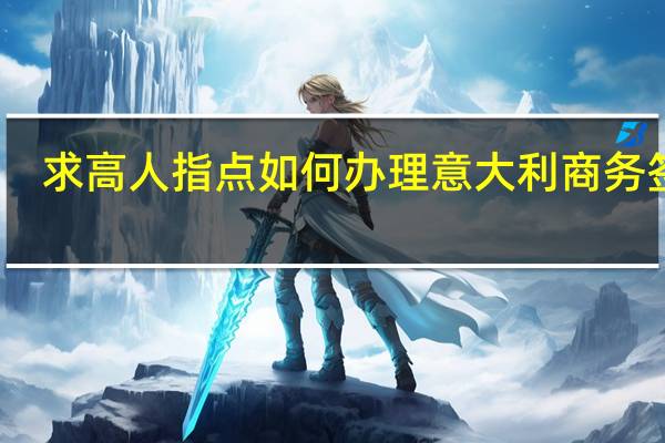 求高人指点如何办理意大利商务签证
