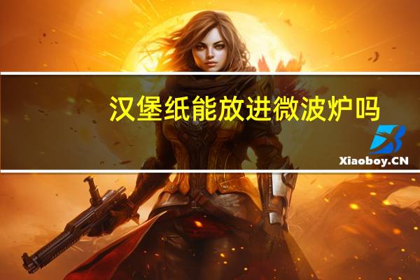 汉堡纸能放进微波炉吗