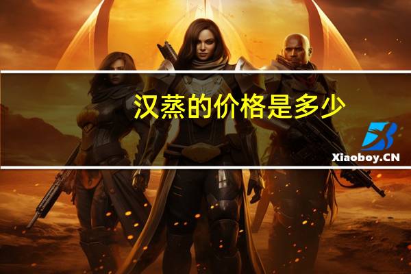 汉蒸的价格是多少