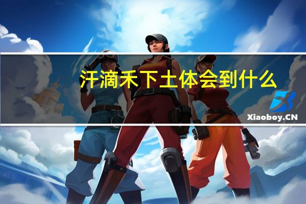 汗滴禾下土体会到什么