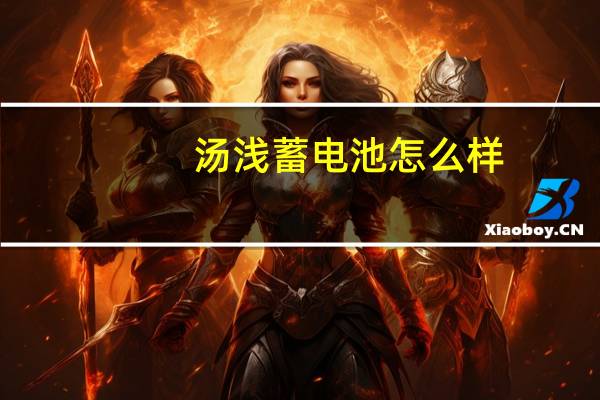 汤浅蓄电池怎么样