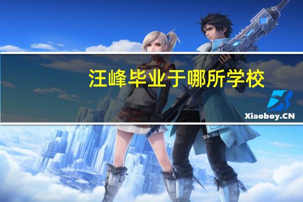 汪峰毕业于哪所学校