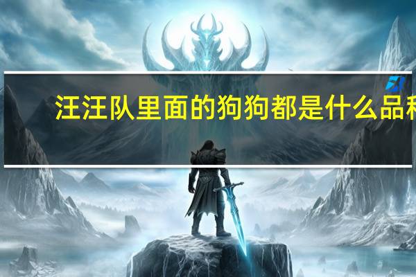 汪汪队里面的狗狗都是什么品种