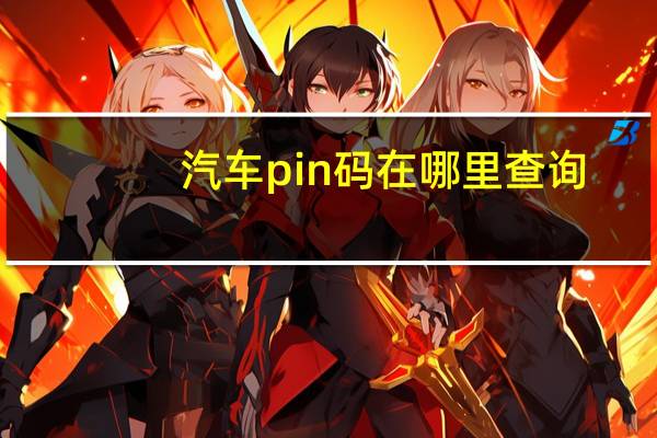 汽车pin码在哪里查询