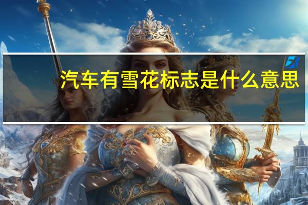 汽车有雪花标志是什么意思