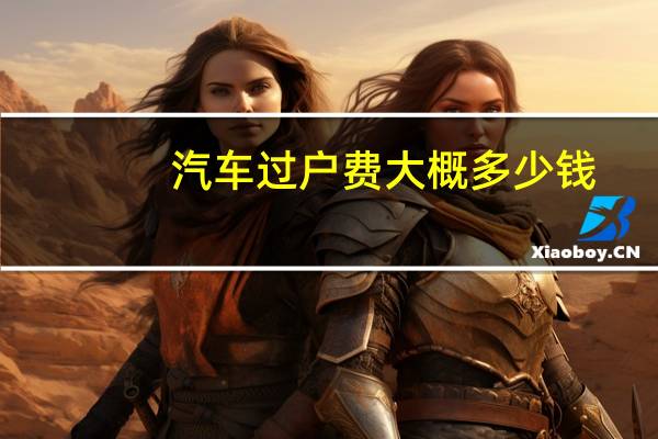 汽车过户费大概多少钱