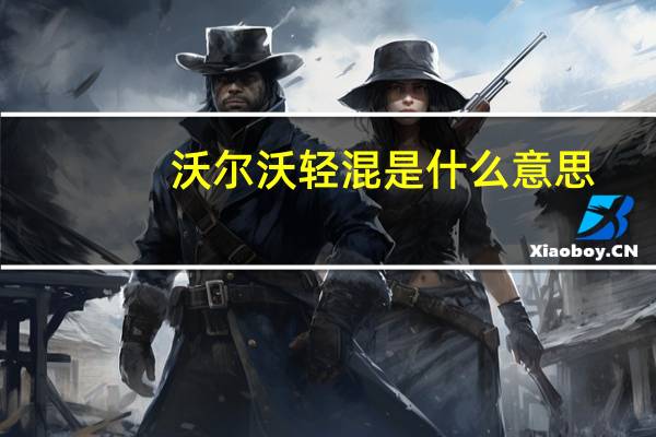 沃尔沃轻混是什么意思