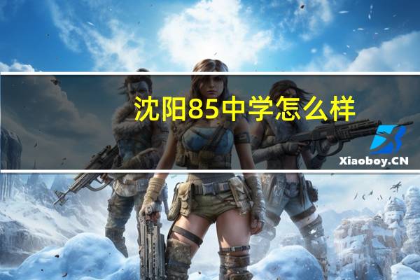 沈阳85中学怎么样