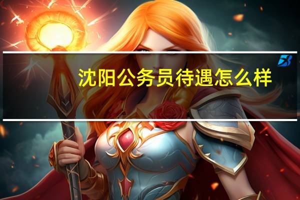 沈阳公务员待遇怎么样