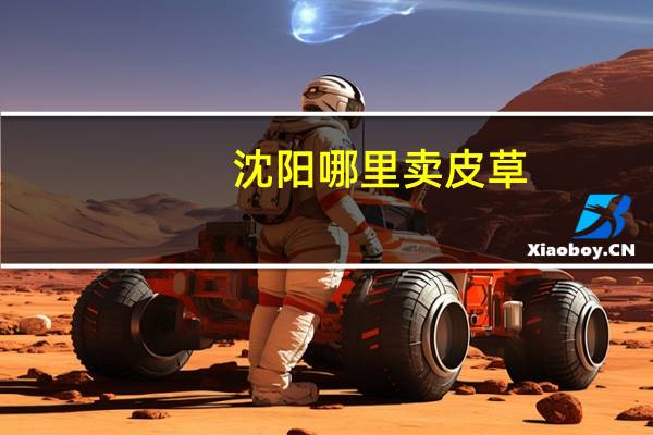 沈阳哪里卖皮草