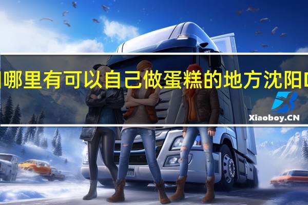 沈阳哪里有可以自己做蛋糕的地方沈阳DIY蛋糕店