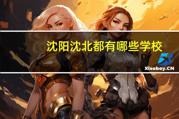 沈阳沈北都有哪些学校