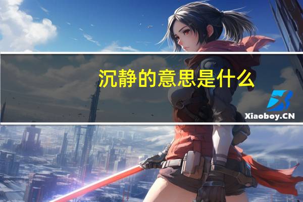 沉静的意思是什么