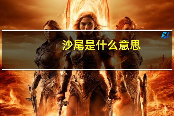 沙尾是什么意思