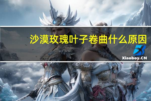 沙漠玫瑰叶子卷曲什么原因