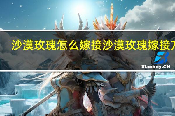沙漠玫瑰怎么嫁接沙漠玫瑰嫁接方法