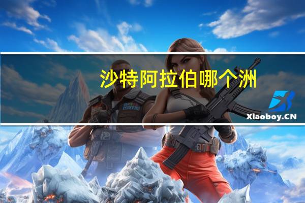 沙特阿拉伯 哪个洲