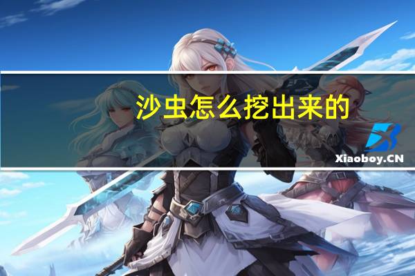 沙虫怎么挖出来的