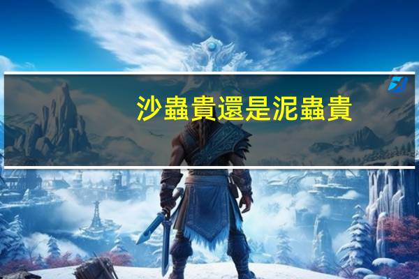 沙蟲貴還是泥蟲貴