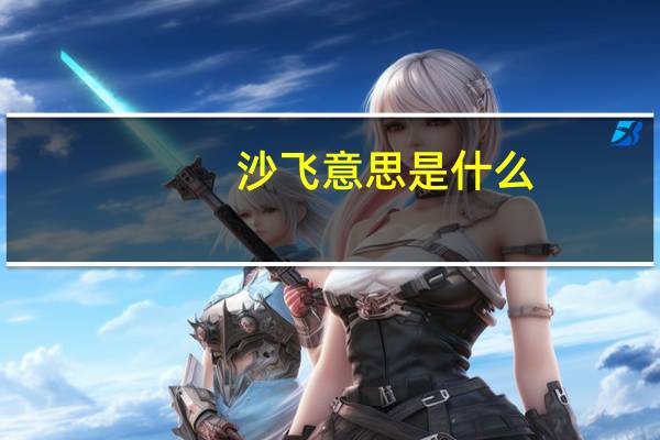 沙飞意思是什么