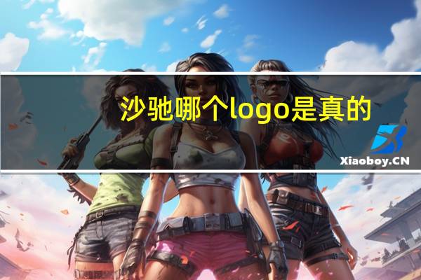 沙驰哪个logo是真的
